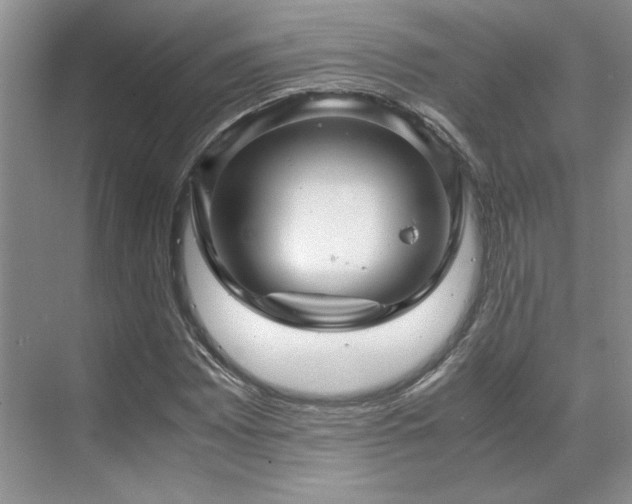 X0000071811065200606301221