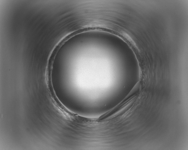 X0000071811076200606301221