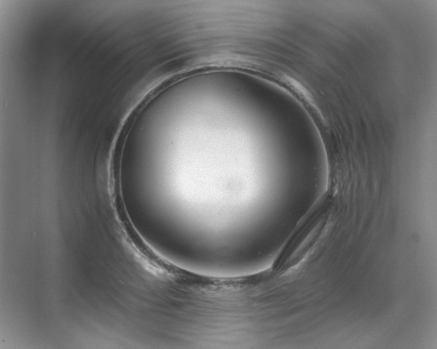 X0000071811082200606301221