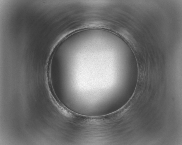 X0000071811086200606301221