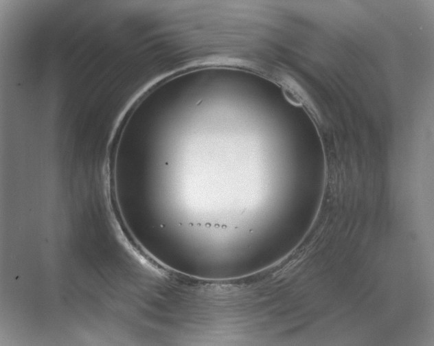 X0000071811092200606301220