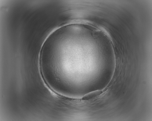 X0000071811103200606301220