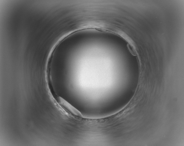 X0000071811104200606301220