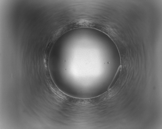 X0000071811106200606301219