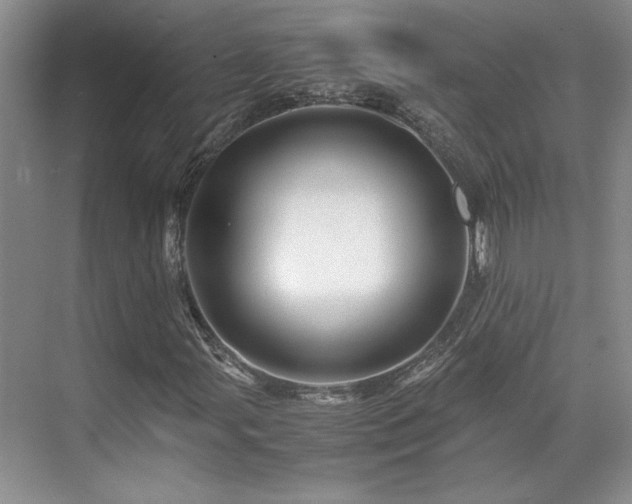 X0000071811107200606301219