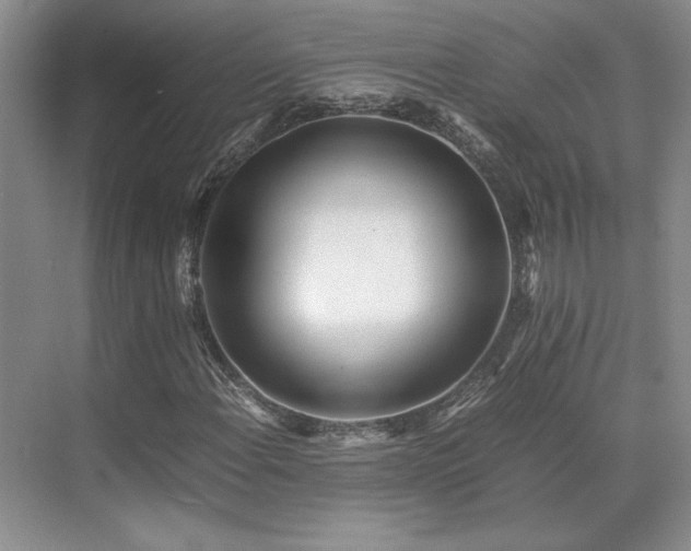 X0000071811108200606301220