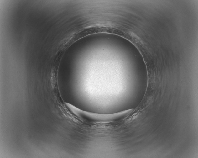 X0000071811110200606301220