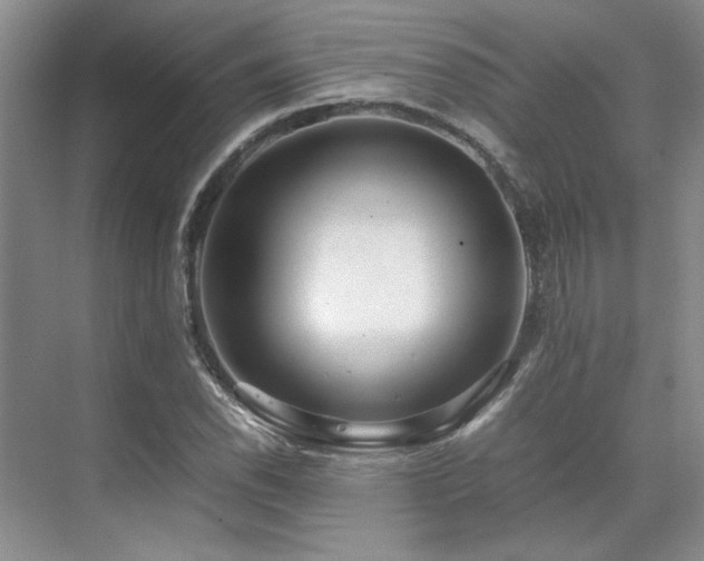 X0000071811118200606301220