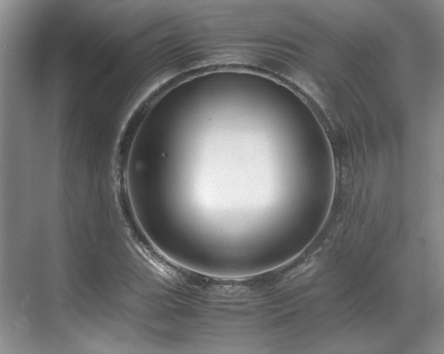 X0000071811119200606301220