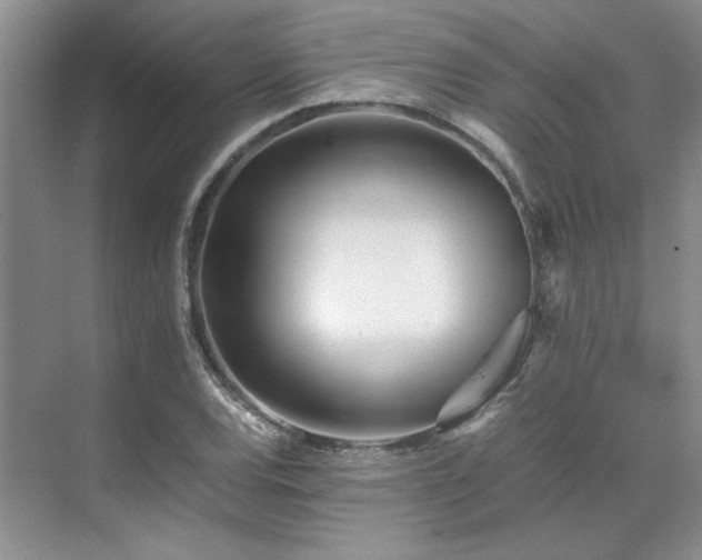 X0000071811120200606301220