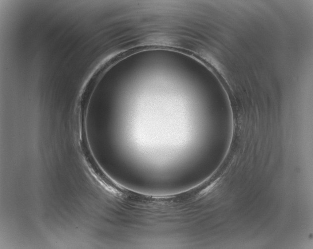 X0000071811123200606301220
