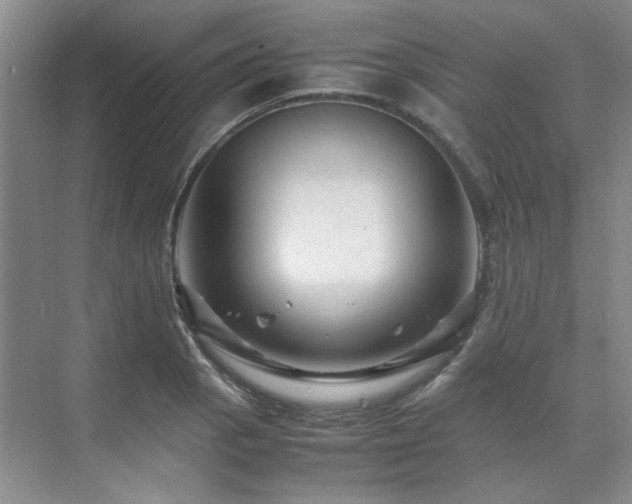 X0000071811129200606301220