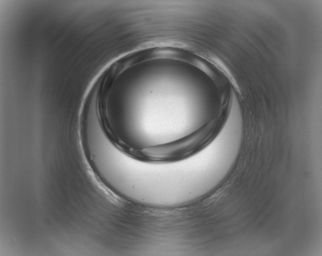 X0000071811132200606301220
