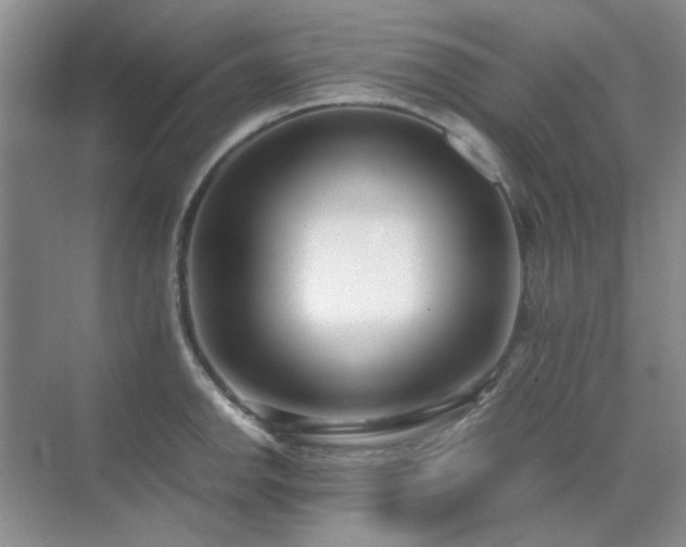 X0000071811142200606301220
