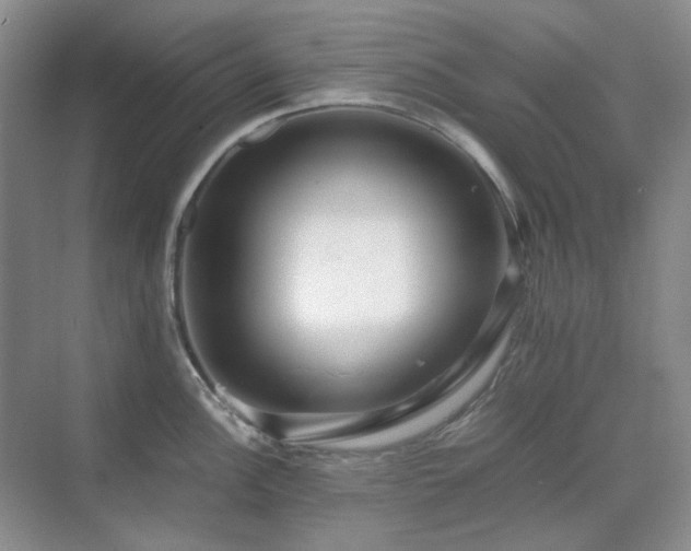 X0000071811148200606301220