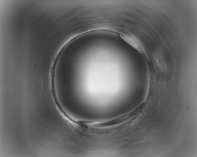 X0000071811151200606301220