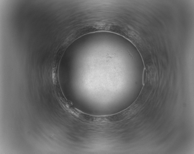 X0000071811154200606301219