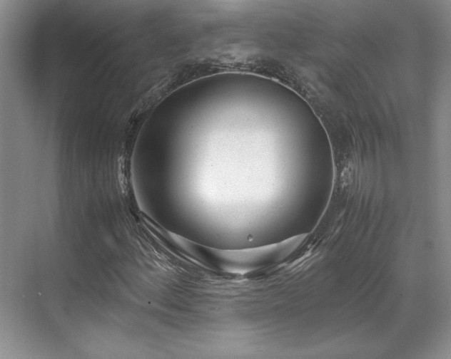 X0000071811156200606301219