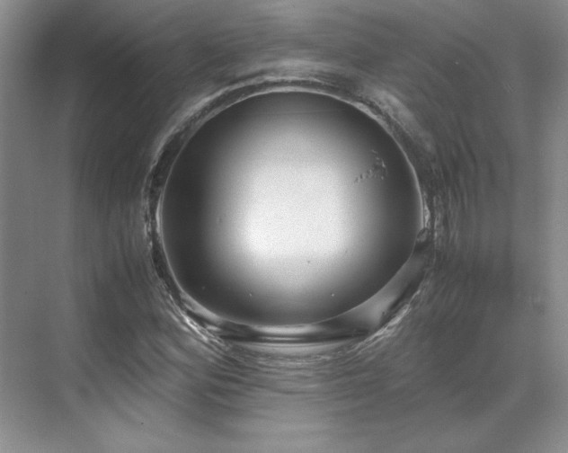 X0000071811164200606301219