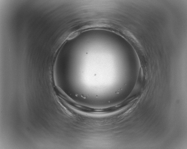X0000071811177200606301219