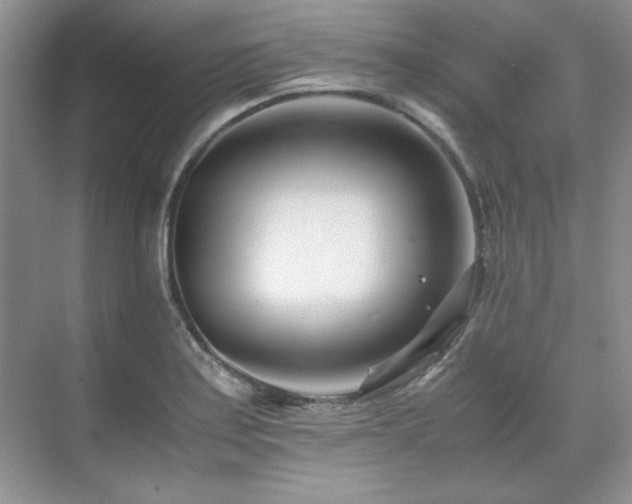 X0000071811179200606301219