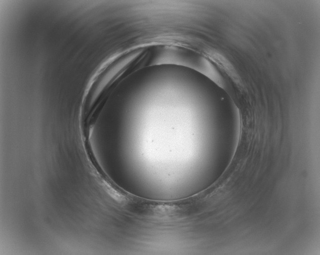X0000071811180200606301219