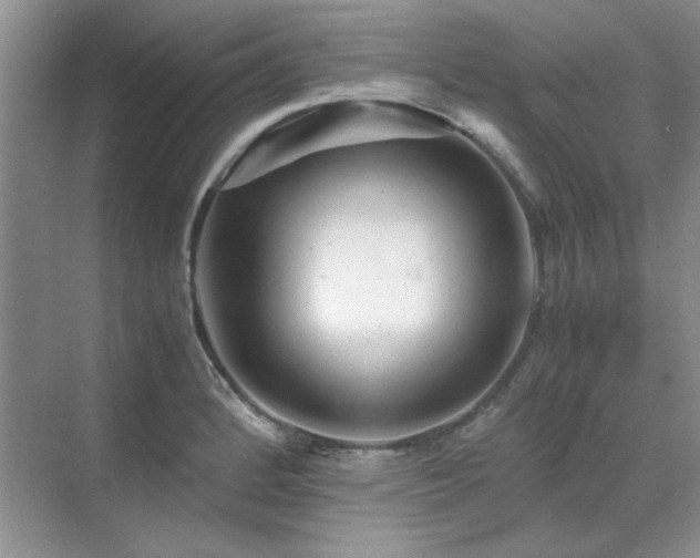 X0000071811184200606301219
