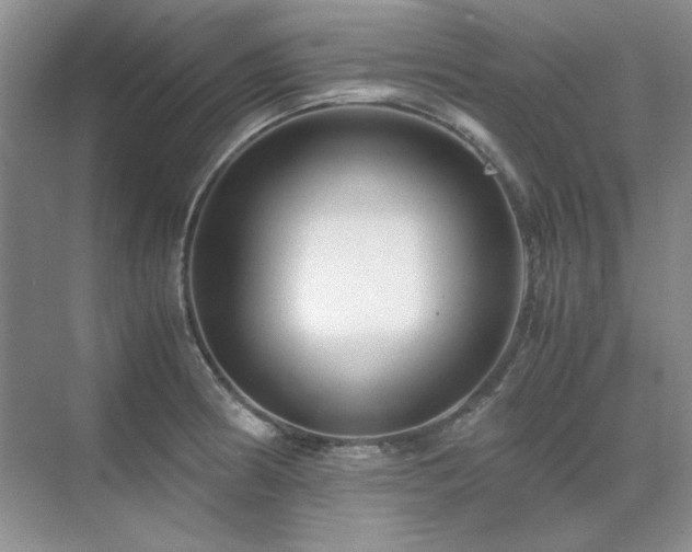 X0000071811186200606301219
