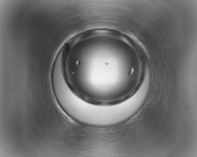 X0000071811189200606301219