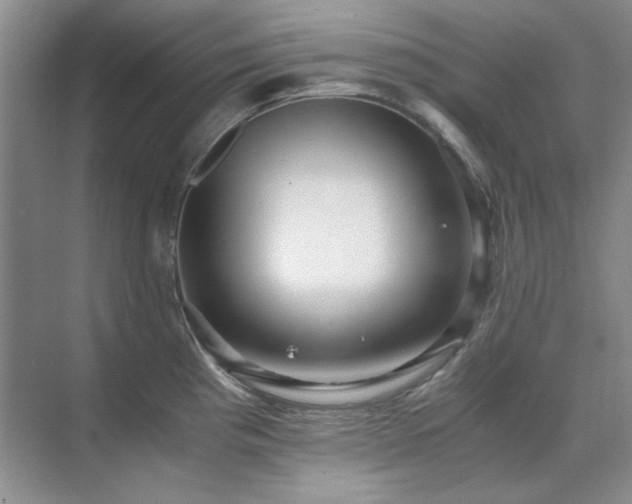 X0000071811193200606301219