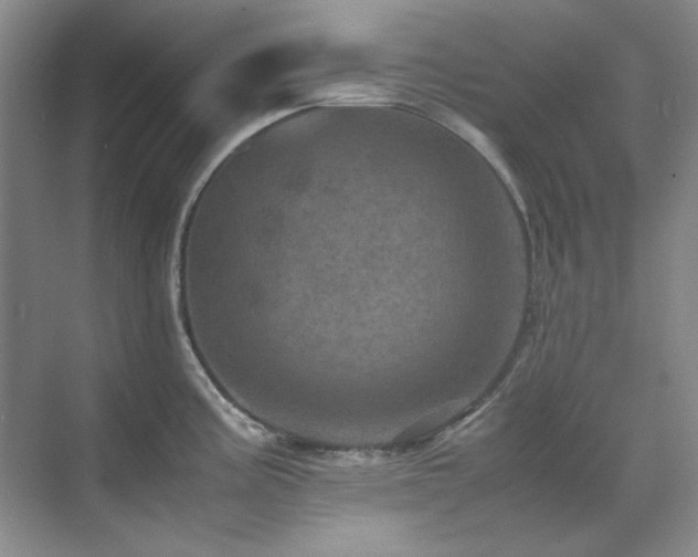 X0000071811195200606301219