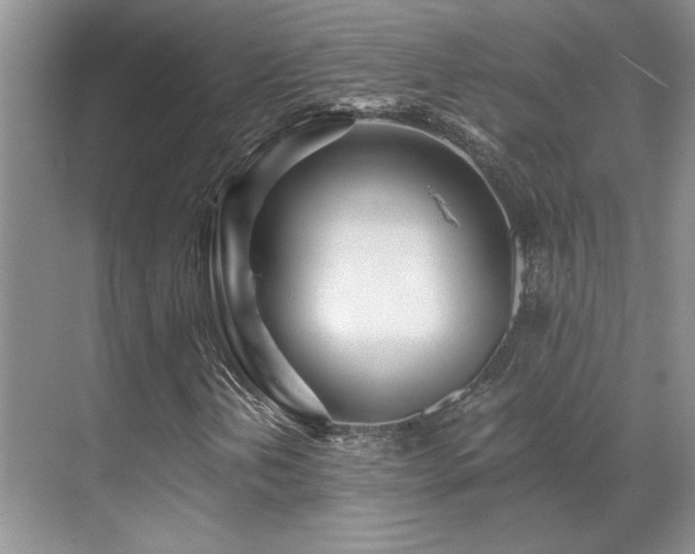 X0000071811202200606301218