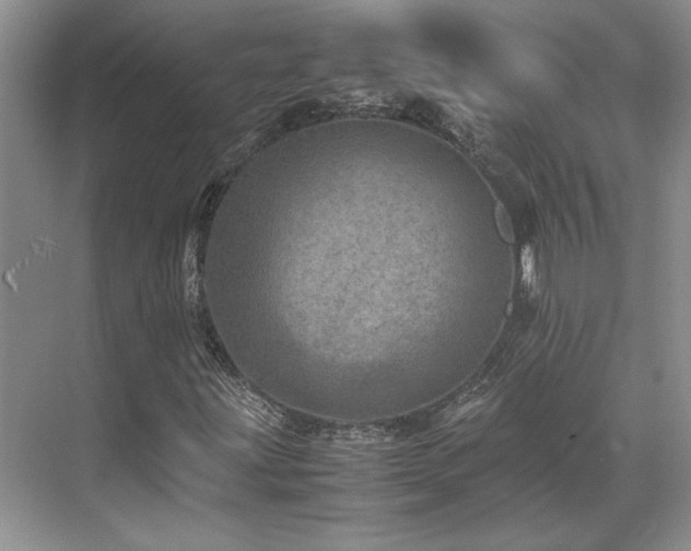 X0000071811203200606301218