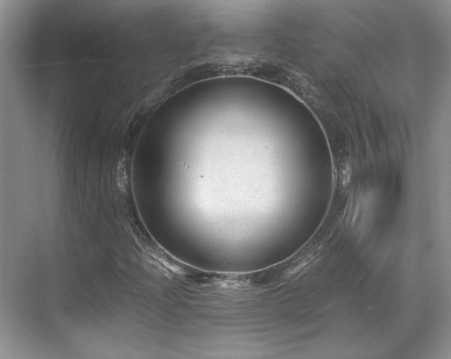 X0000071811204200606301218