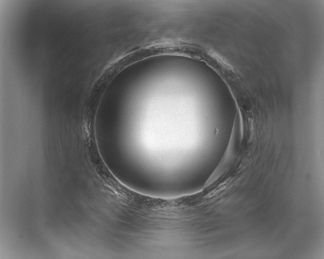 X0000071811206200606301218