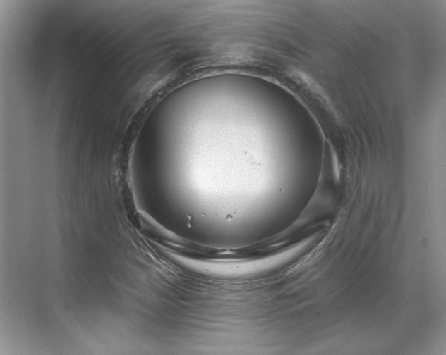 X0000071811210200606301218