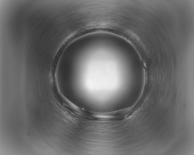 X0000071811218200606301218