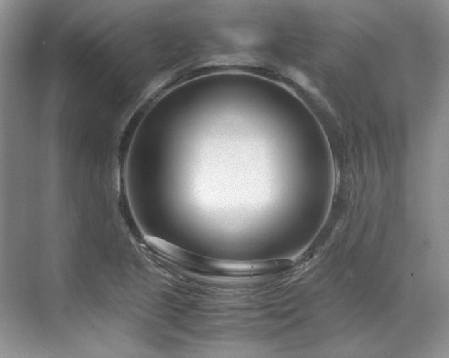 X0000071811221200606301218