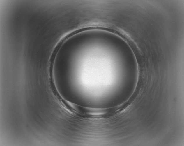 X0000071811222200606301218