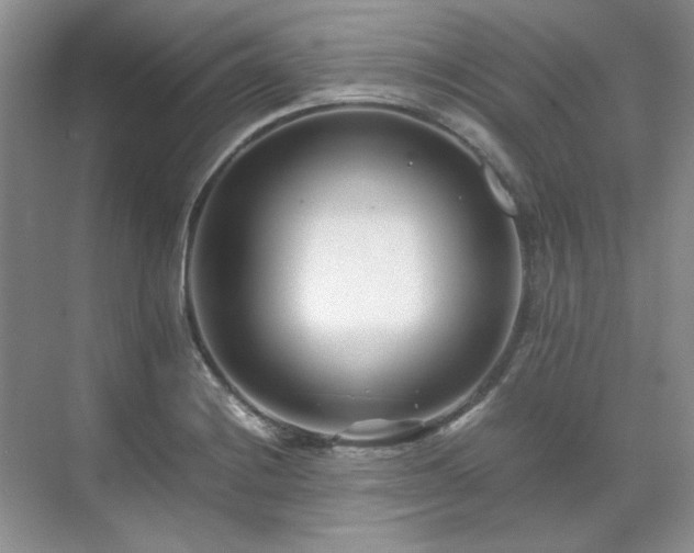 X0000071811228200606301218