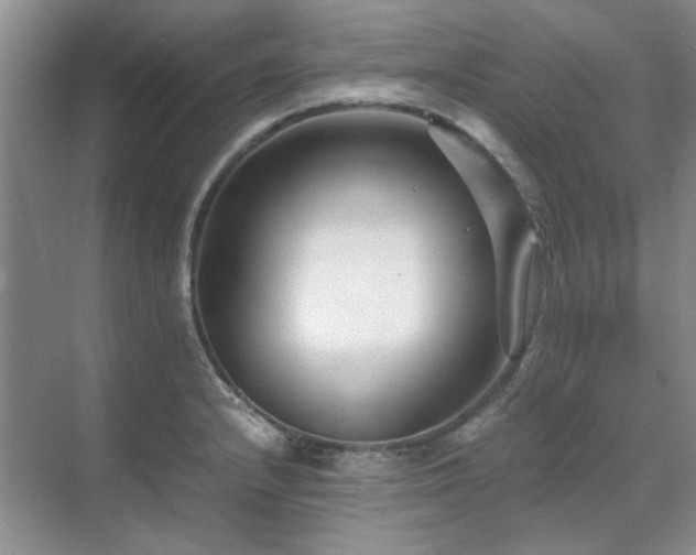 X0000071811232200606301218
