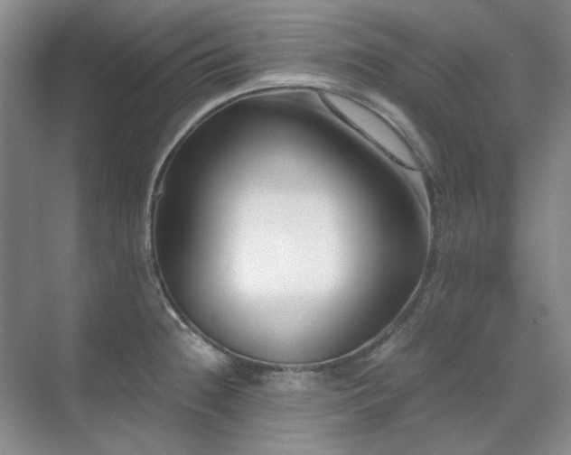 X0000071811236200606301218