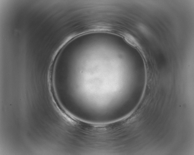 X0000071811243200606301219