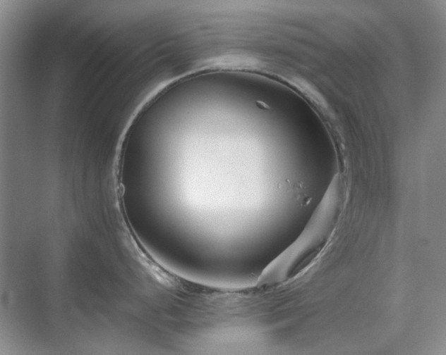 X0000071811248200606301219