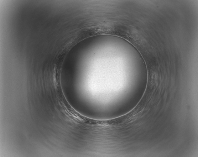 X0000071811250200606301218