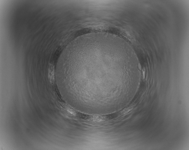 X0000071811251200606301218