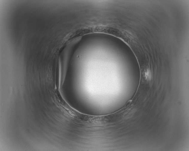 X0000071811252200606301218