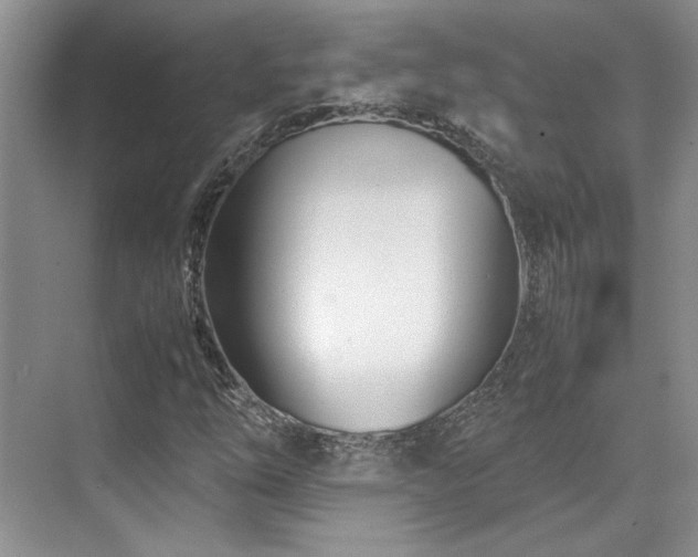 X0000071811254200606301218