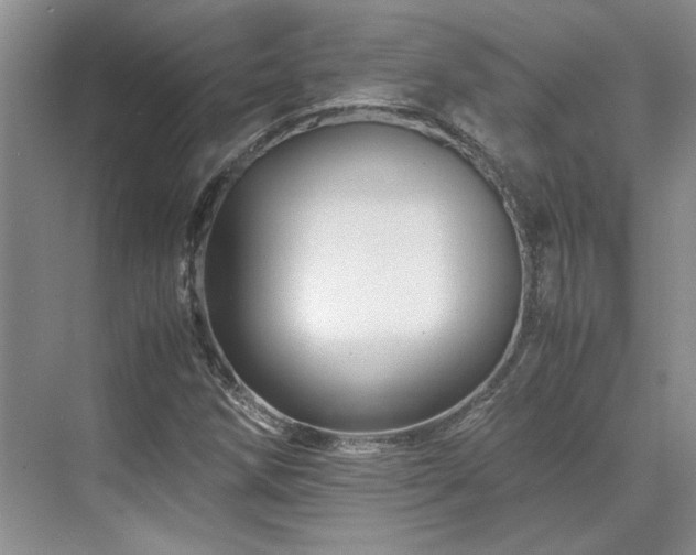 X0000071811258200606301218