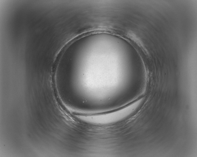 X0000071811260200606301218